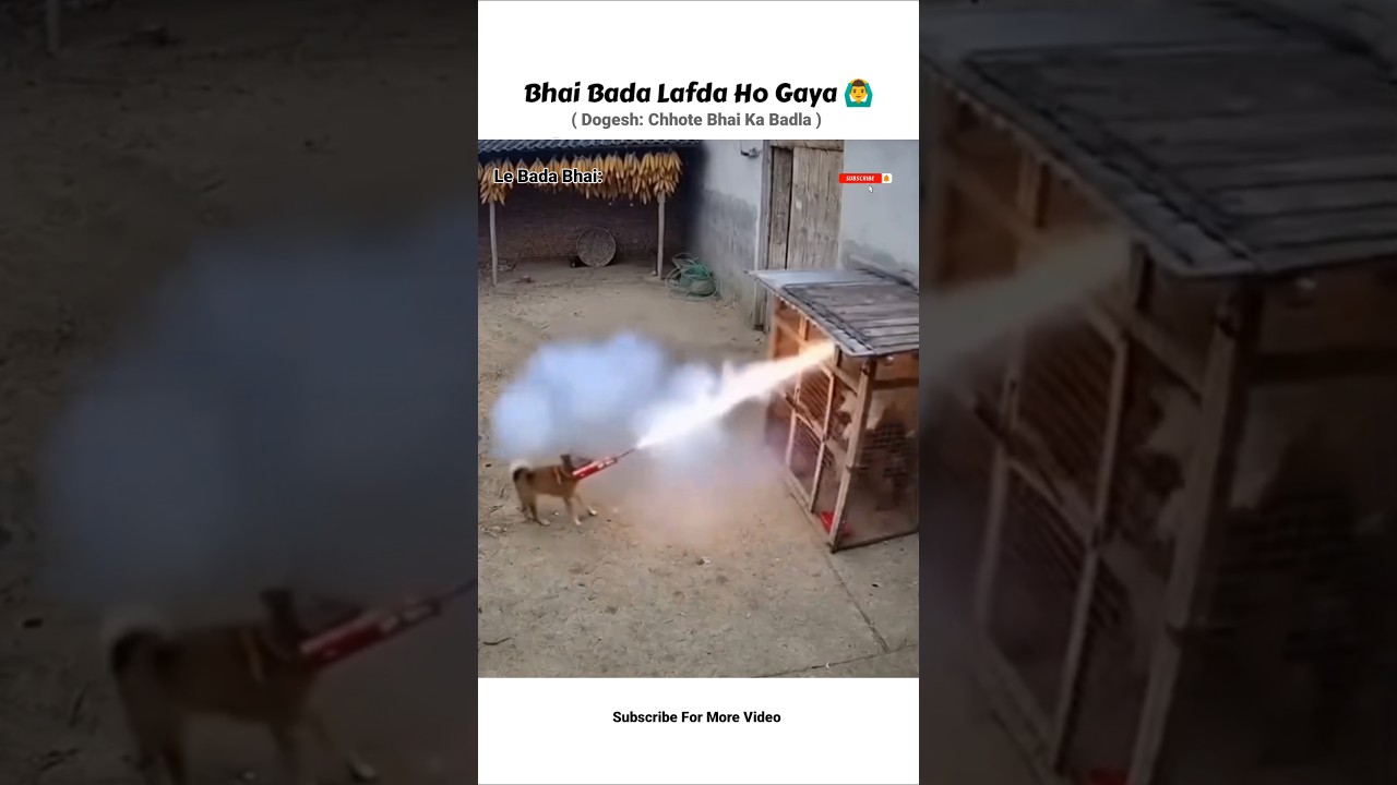 Dogesh: Chhote Bhai Ka Badla 🙆&zwj;♂️ #shorts #shortvideo