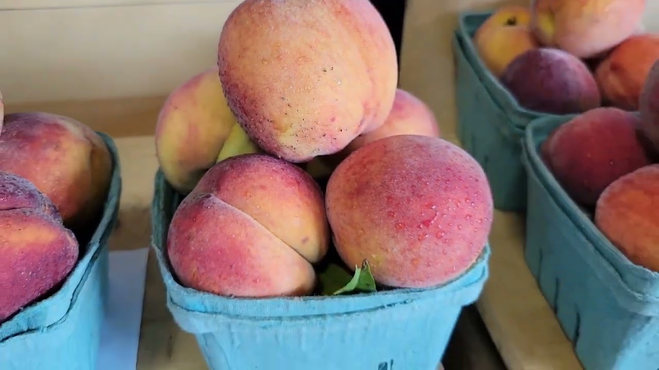 Sweet Creek Farm Market In Pike Road, Alabama
