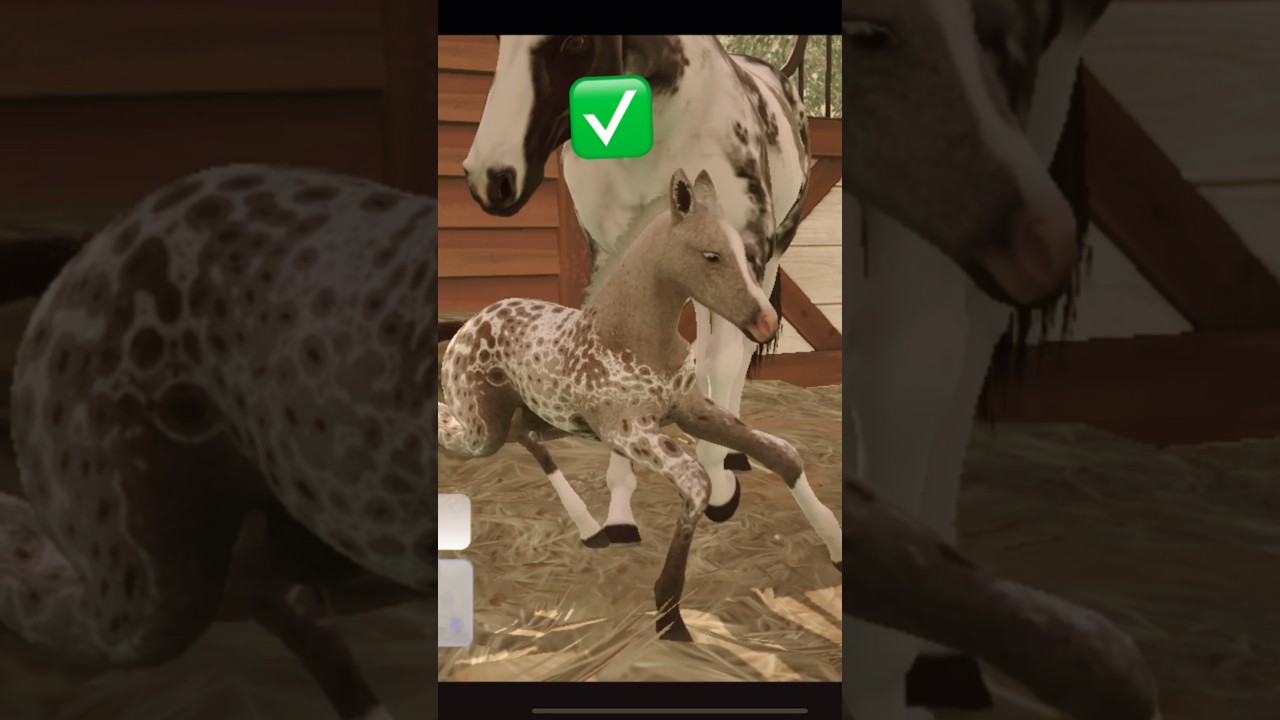 Getting the new exotic coat - Rivals Stars HR #rivalstarshorseracing #rivalstarsbreeding #rare