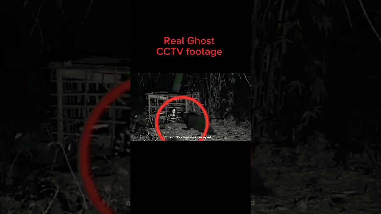 Real Ghost Videos #ghost #terrifyingtales #horror