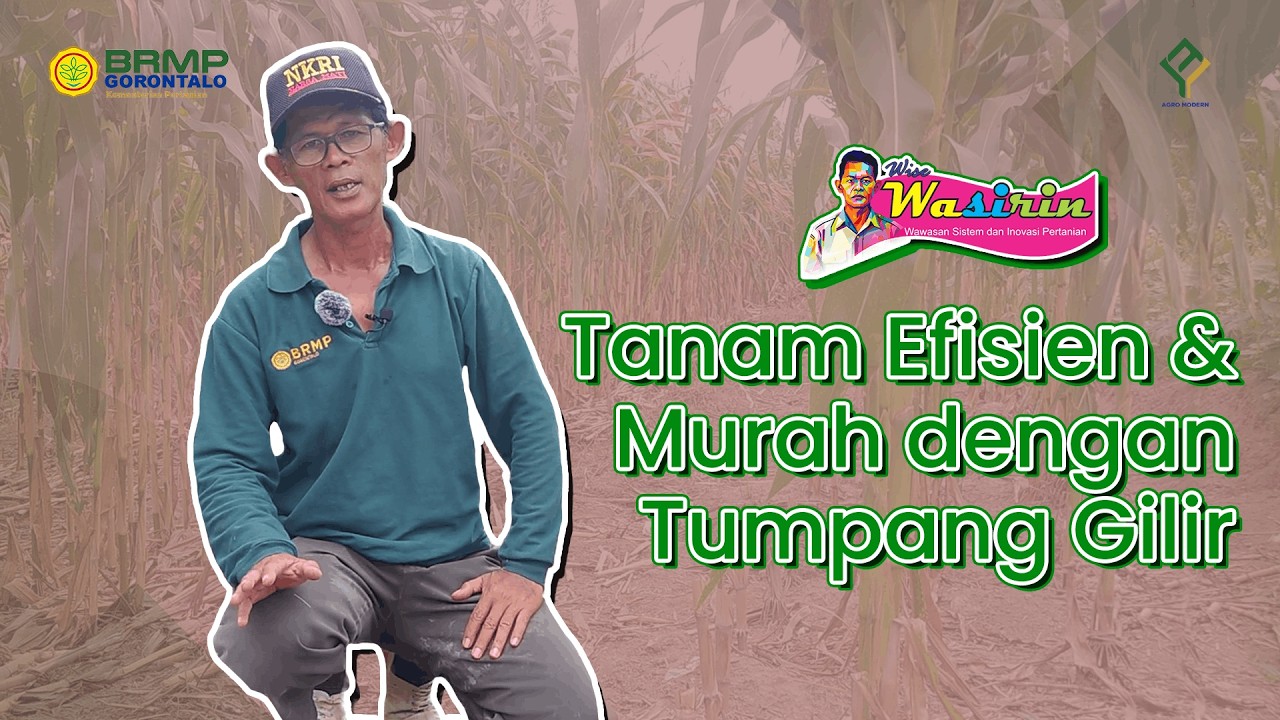 🌱 Tanam Efisien, Hasil Maksimal!