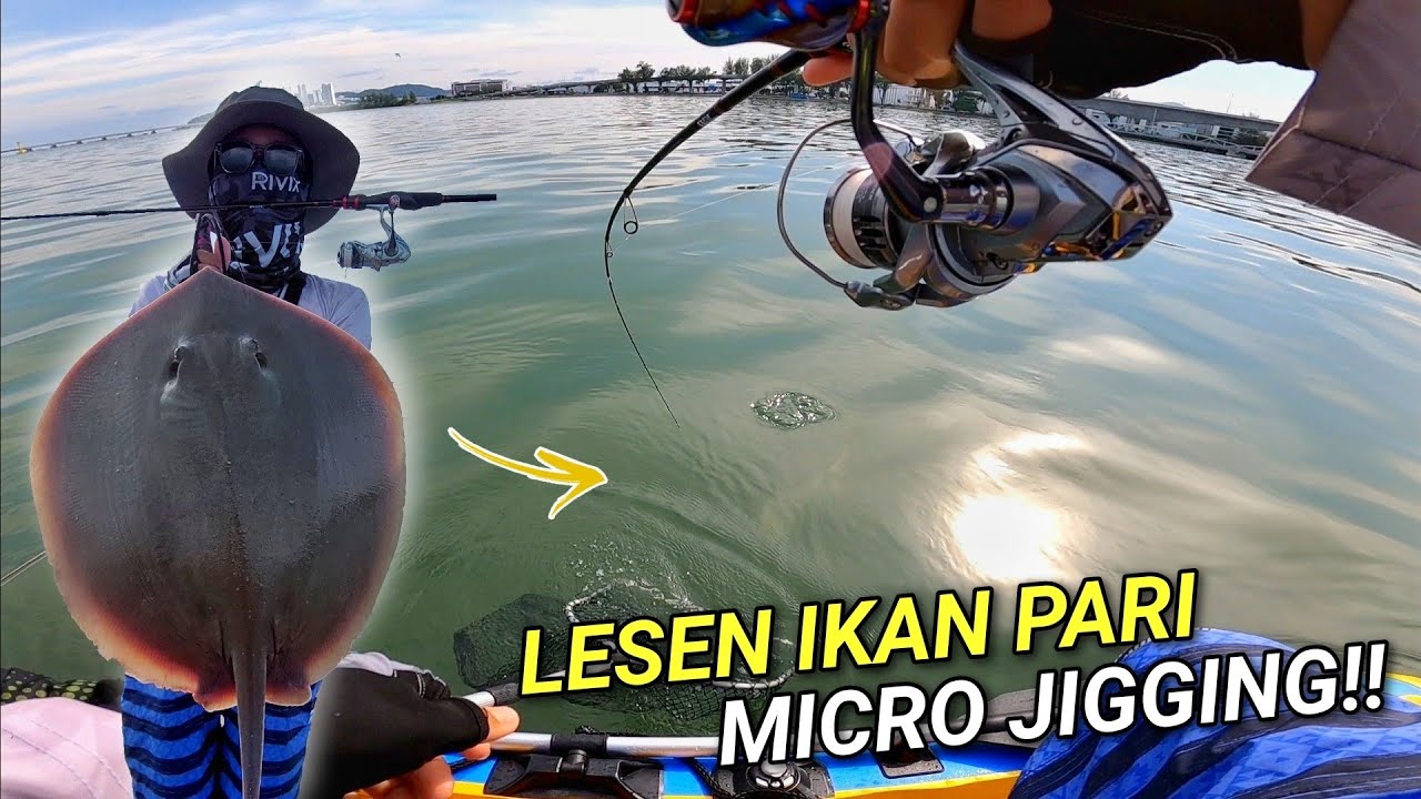 Jangan Buat Main Dengan KEKUATAN IKAN PARI!!