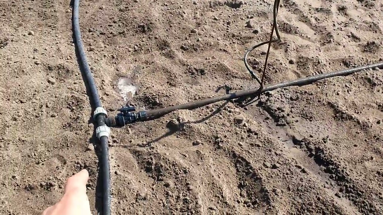 A locsoló rendszer meg az útalló muti...