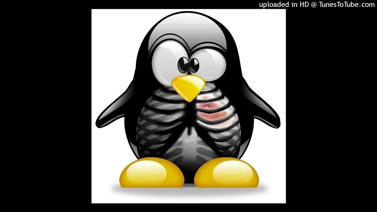 lunchbox + amir + 800pts + newjazz type beat