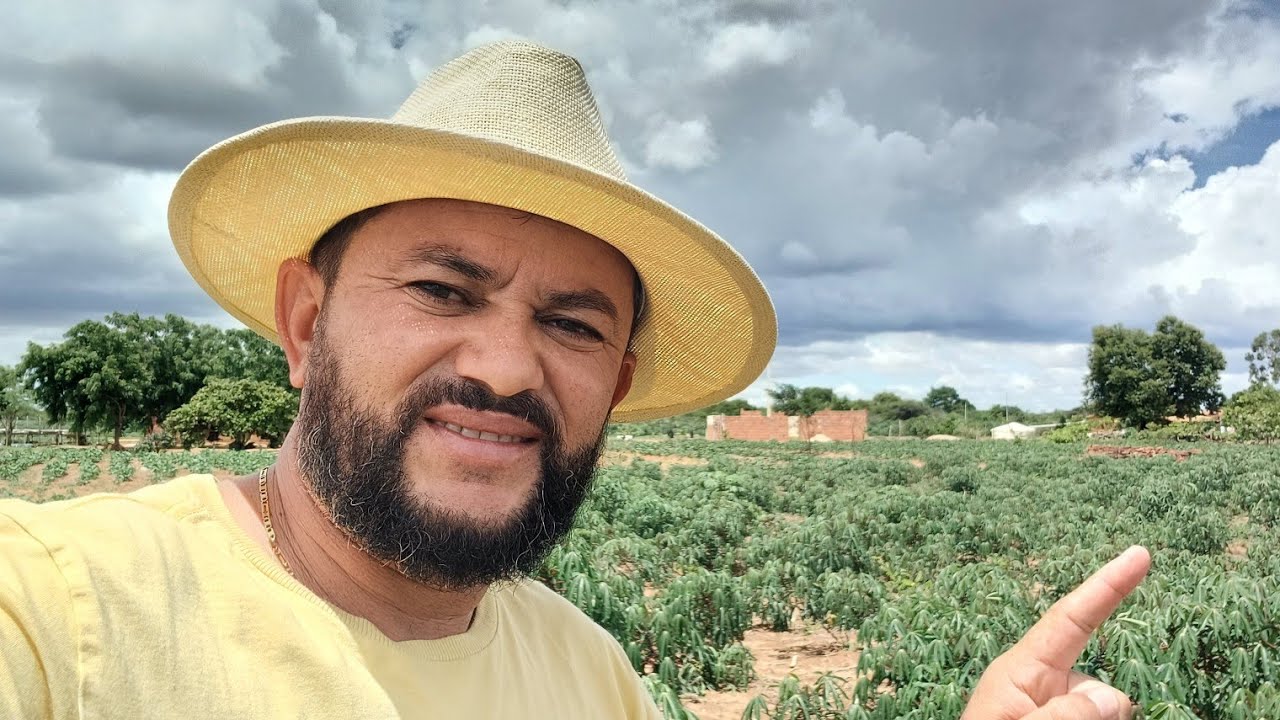Vendo barato 12 mil 1 hectares sua grande oportunidade 8799102 3154/ 27 998799958 