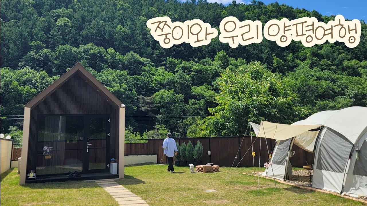 쭝 VLOG) 양평여행🇰🇷ㅣ이천도자예술마을ㅣ댕댕별숲 애견펜션ㅣ용문산빵공장ㅣ용문사ㅣTravel with Puppyㅣ犬と一緒の旅行