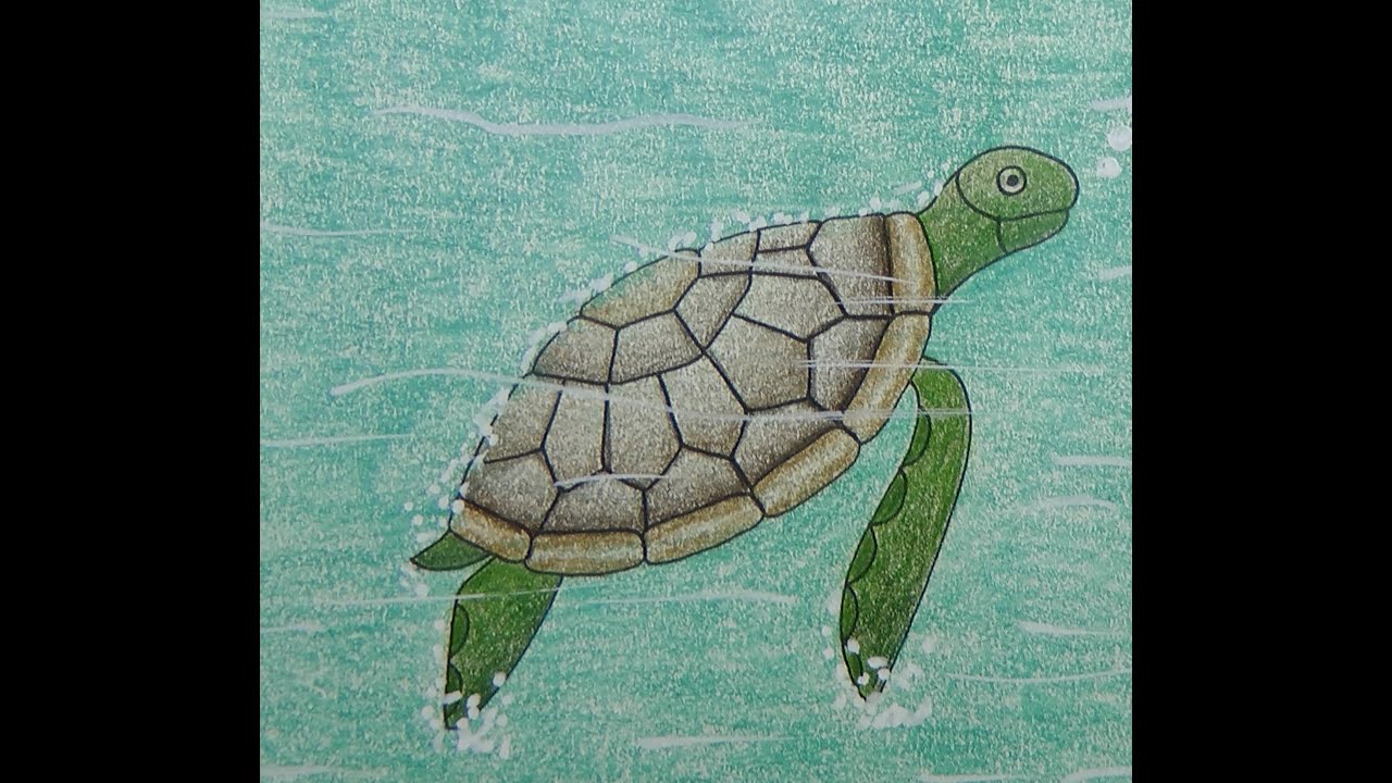 Adult Colouring Tutorial Turtle - from Johanna Basford 2021 Weekly Planner / Magical Jungle