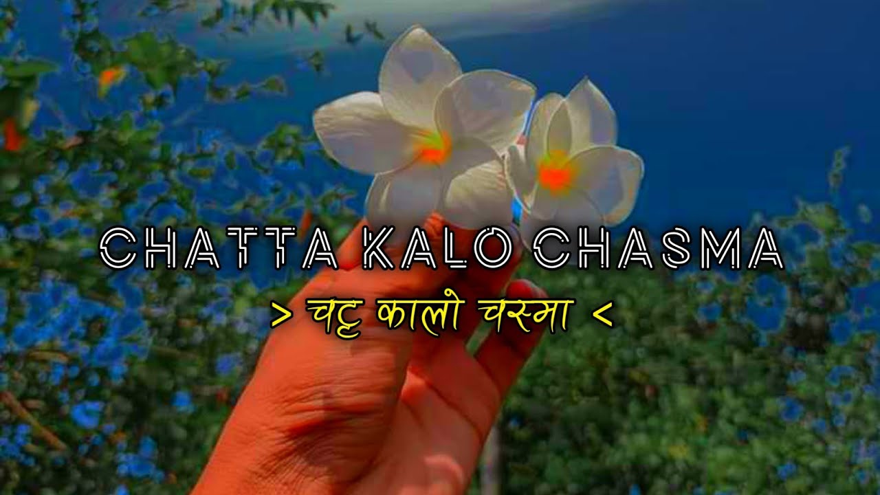 Chatta kalo chasma | Dhangadhi ko bus ma reverb and slowed | Nepali lok song | Audio Nepal
