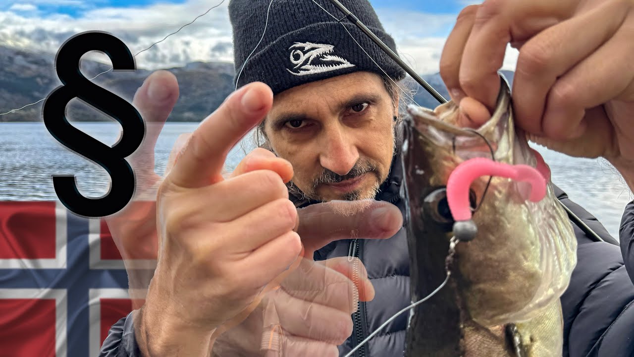 Norwegen: Catch & Release? Mindestma&szlig;e? Lebender K&ouml;derfisch? Fischereirecht!