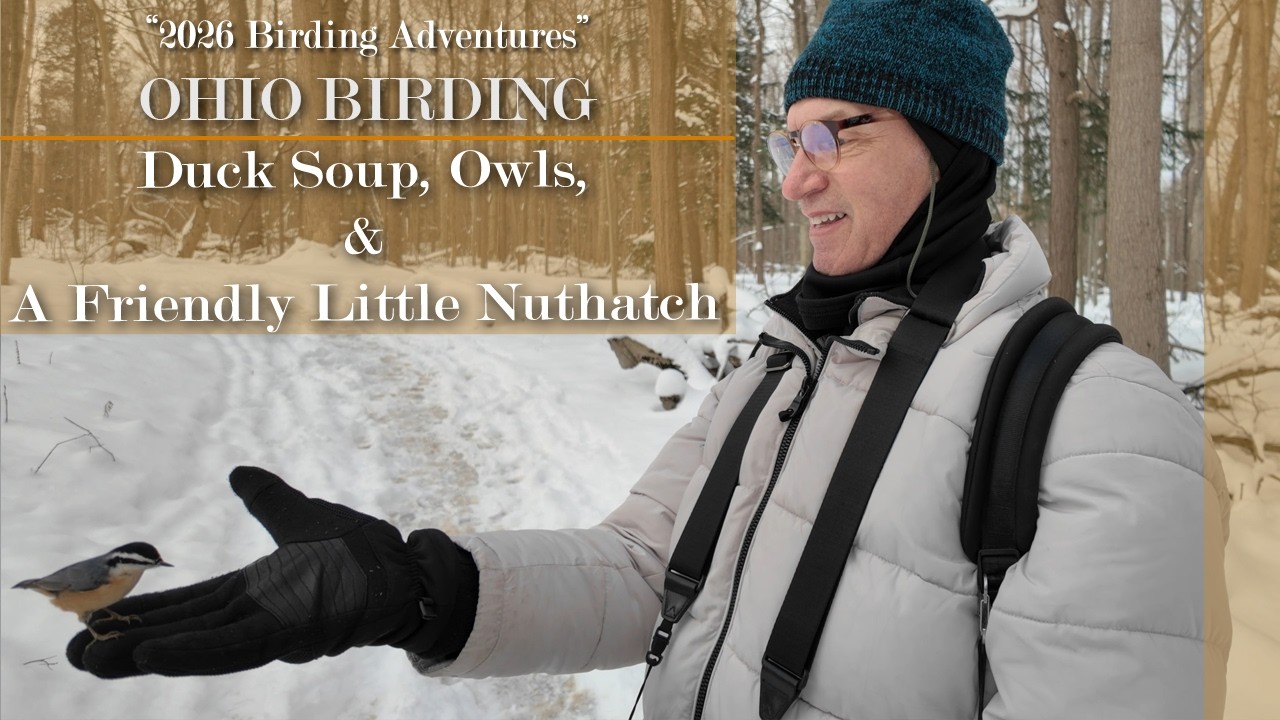 Birding Ohio 2026  - A new year of Exploration (Episode 1) - Owls, Ducks, & Winter friends