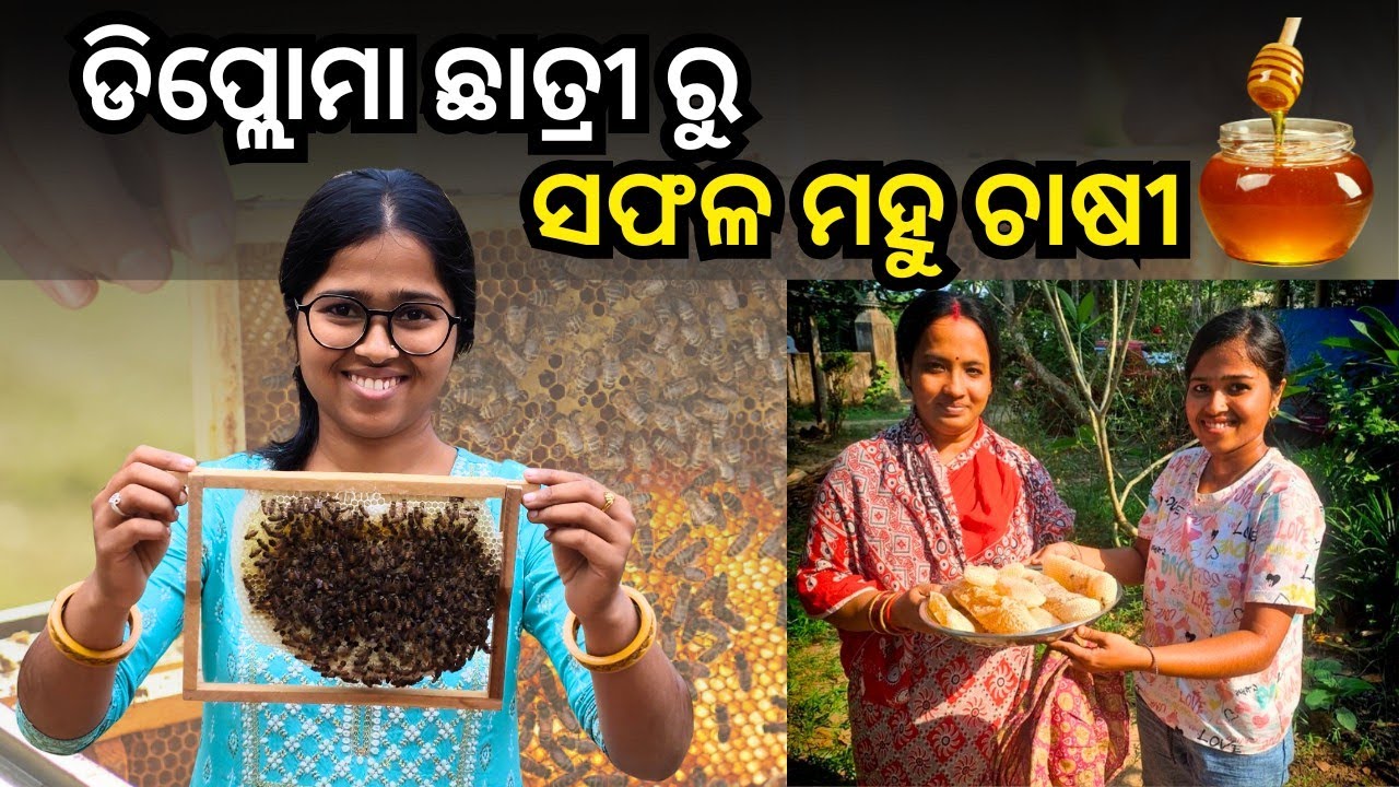 ଡିପ୍ଲୋମା ଛାତ୍ରୀ ରୁ Successful Honey bee Farming in Odisha || Honey bee farming success story ||