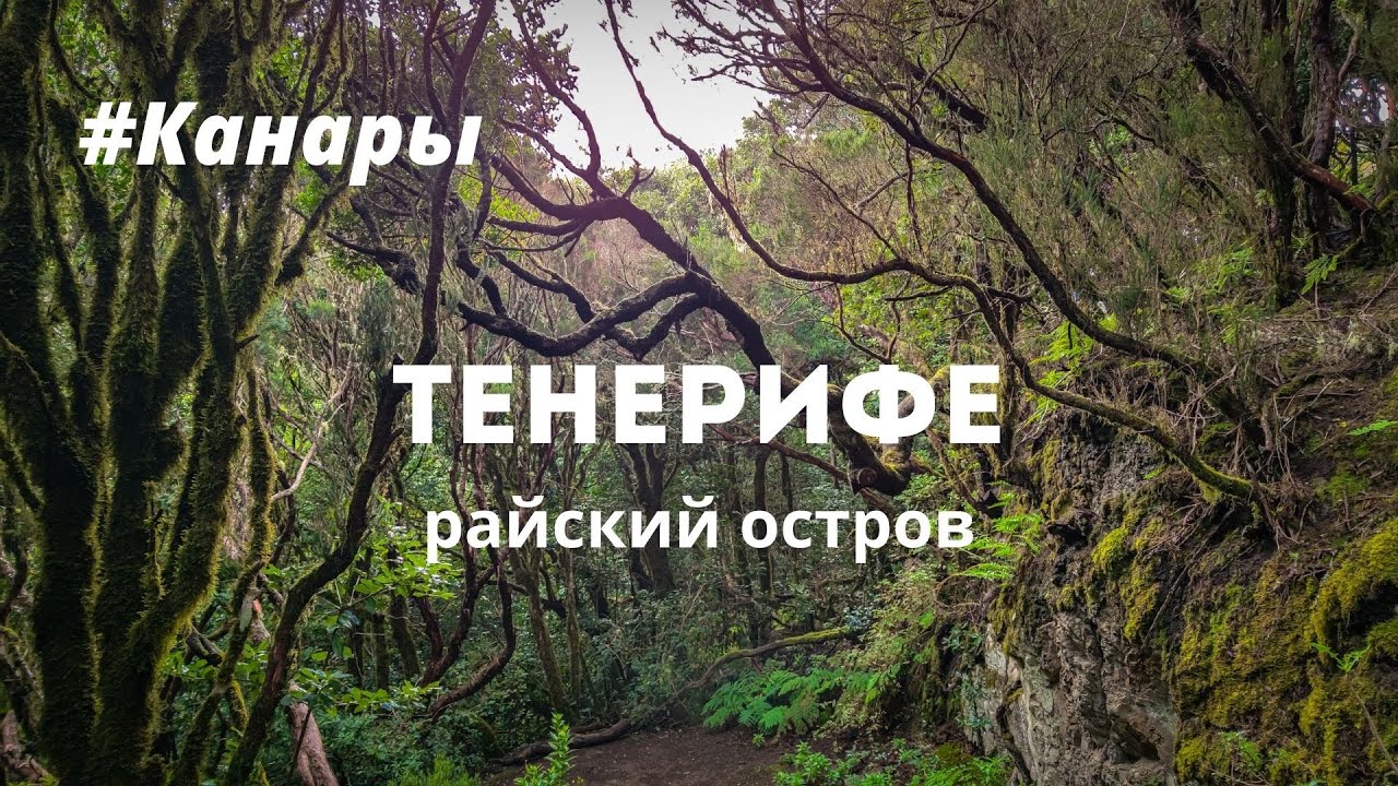 Тенерифе за 4 дня 🏝️ Канары в пандемию | Вулкан Тейде, национальный парк Анага, мыс Тено