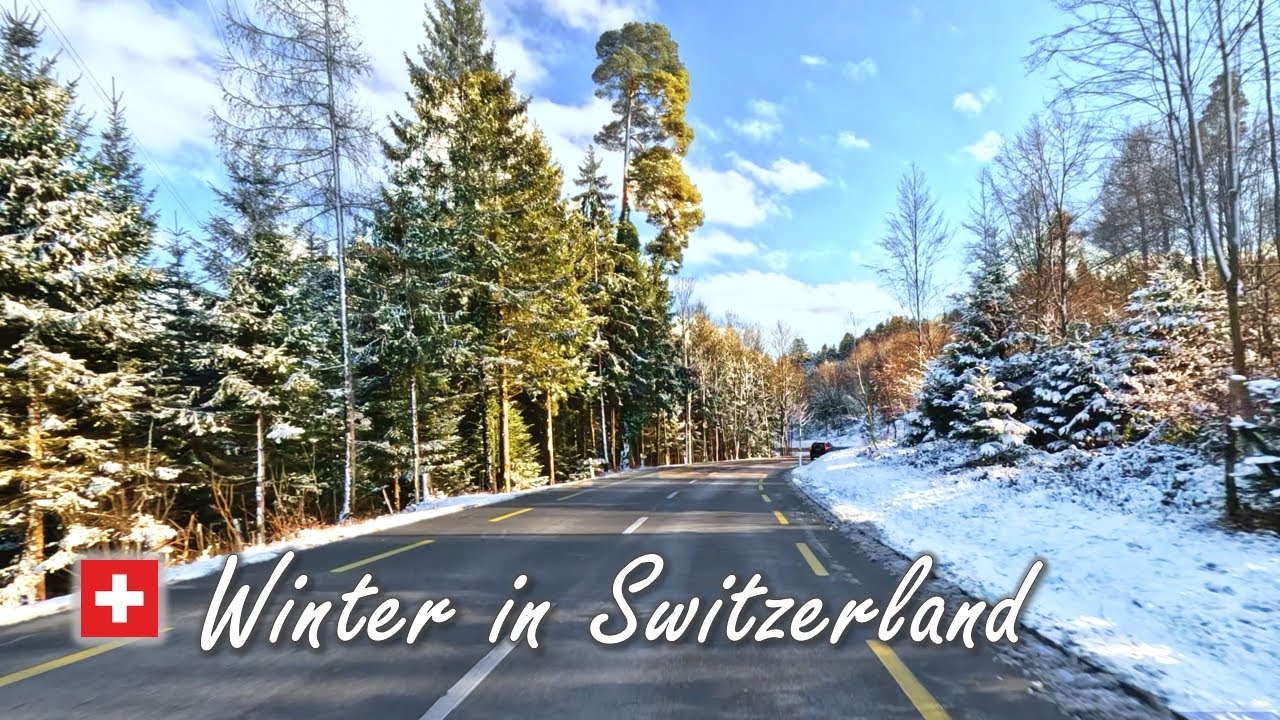 Winter in Switzerland ❄🇨🇭 Wangen to Hittnau • Snowy Zürcher Oberland [4K]