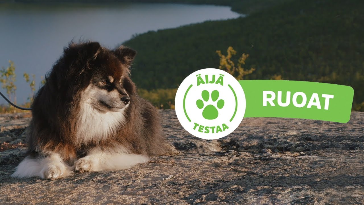 Äijä testaa: Ruoat