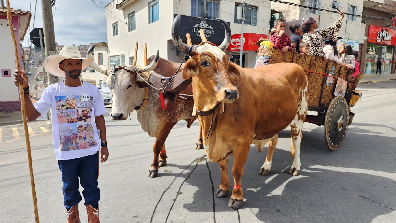 Desfile de carros de boi