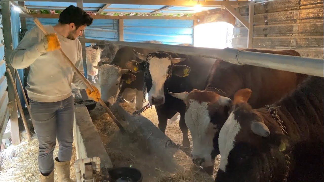 KURBANLIK BAKIMI 2021