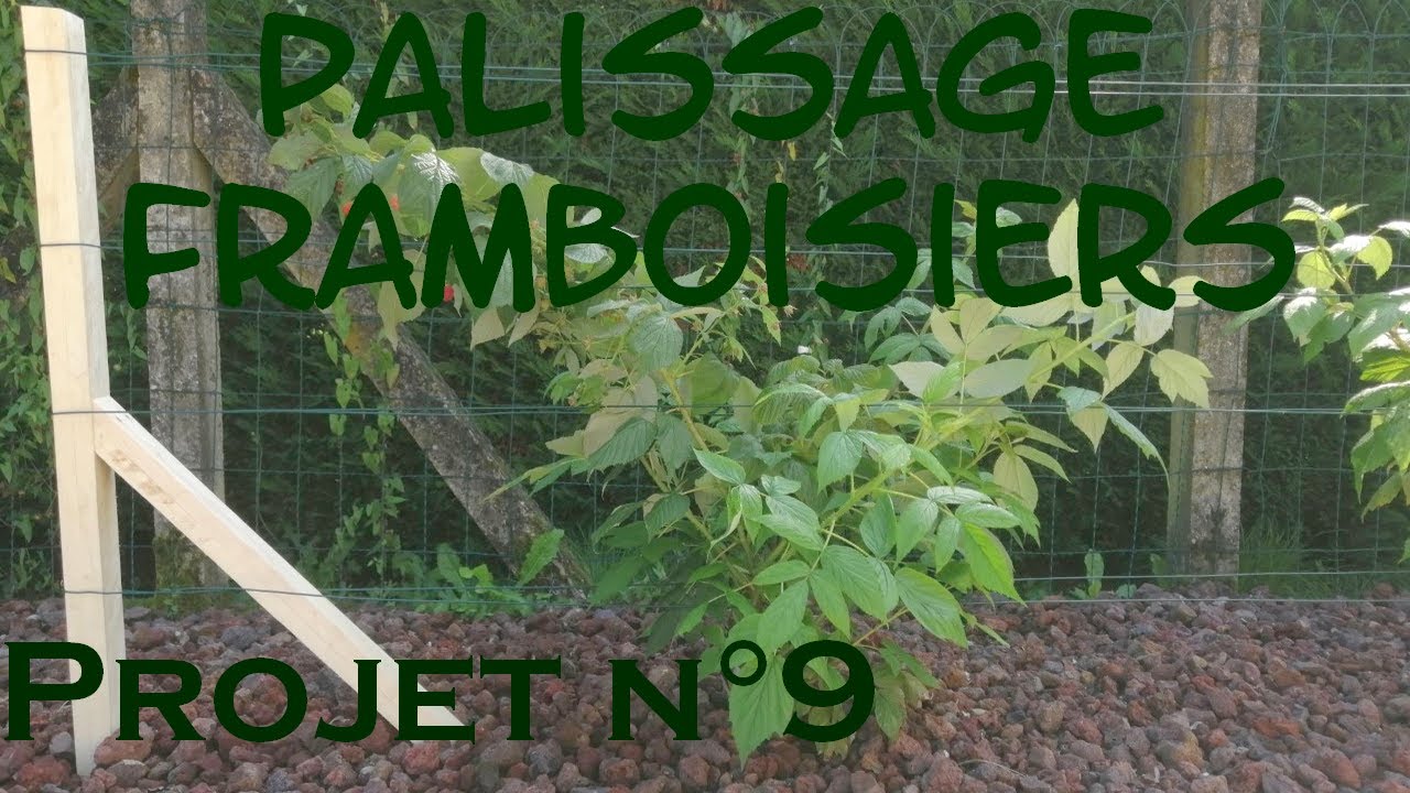 Projet n°9 - Un palissage pour les framboisiers en bois de palette