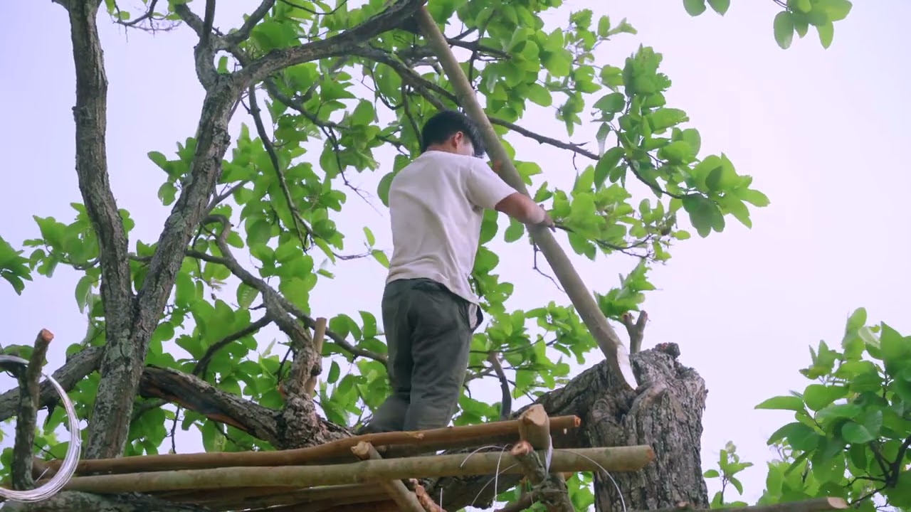 How To Build House On The Tree
