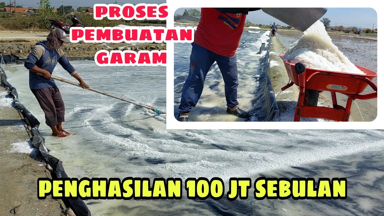 PROSES PEMBUATAN GARAM DI MADURA | PETANI GARAM SUKSES