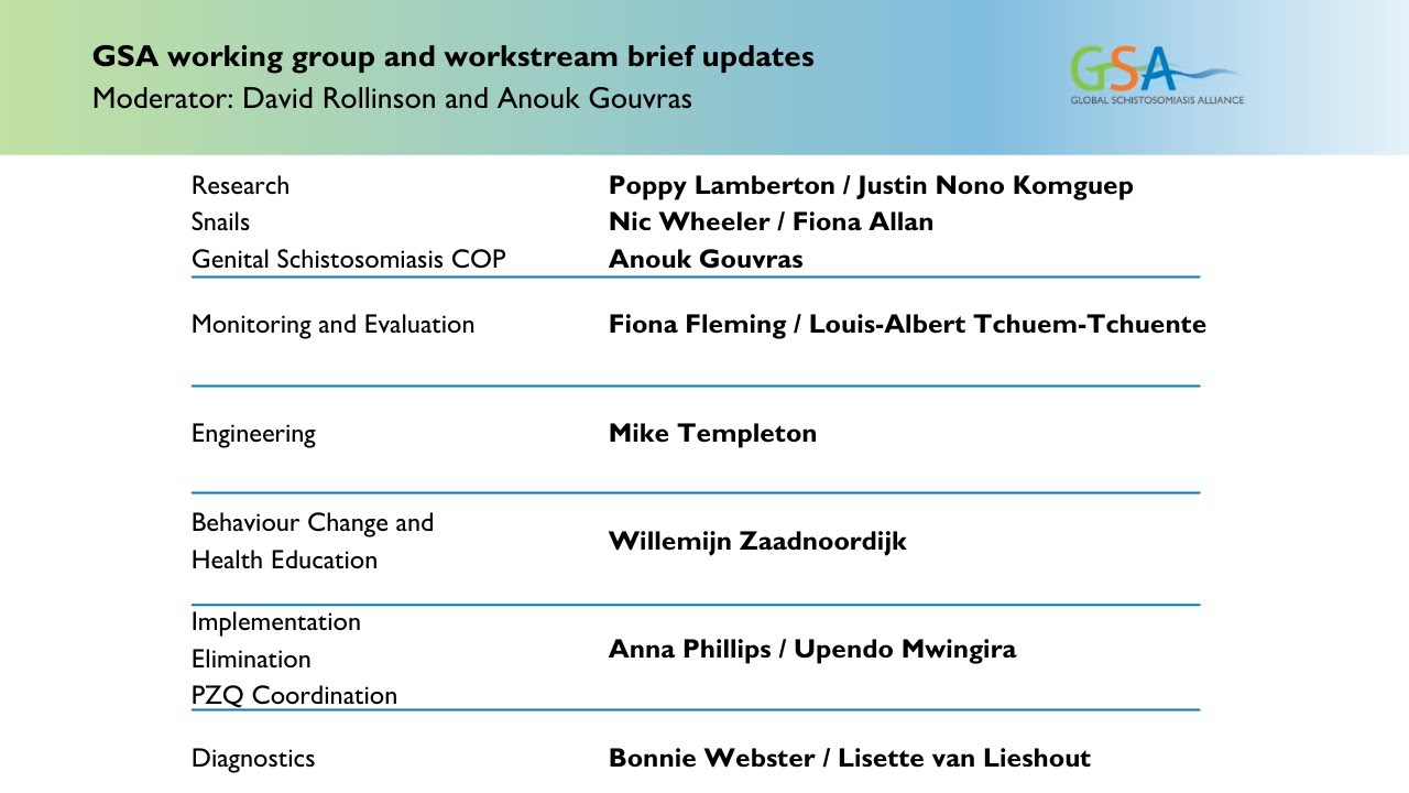GSA Working Groups / Workstreams Updates - Schistosomiasis Research Innovation Meeting 2021