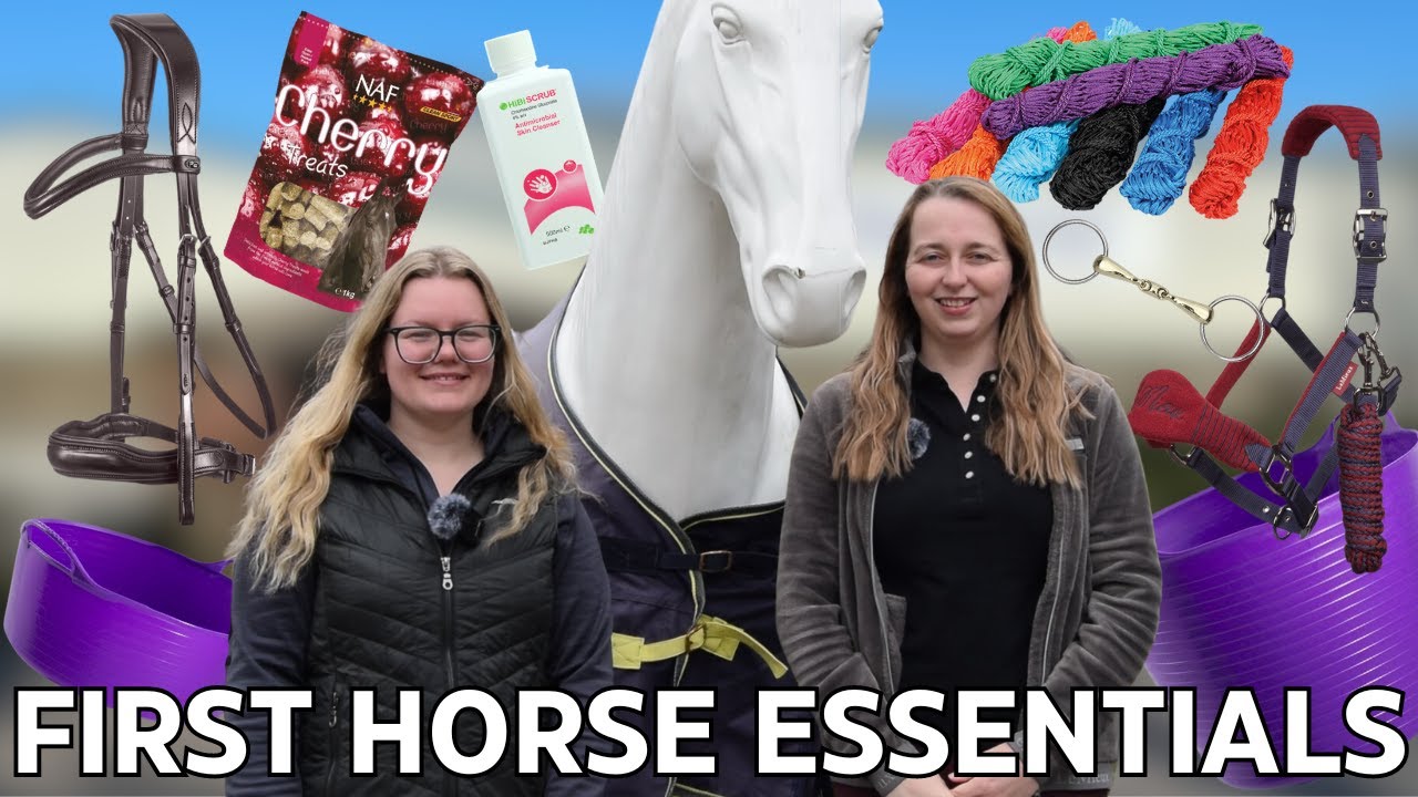 FIRST HORSE ESSENTIALS! What to buy for your first horse!
