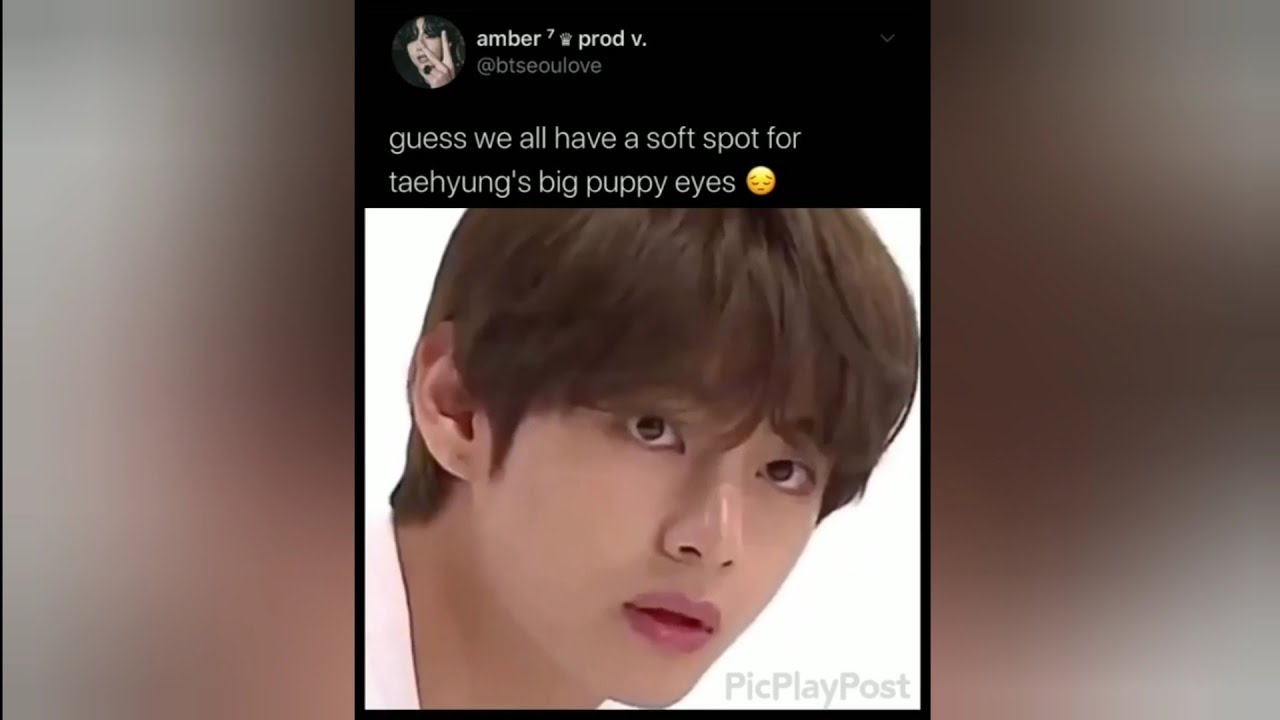 ARMY Tweets/BTS Memes that will make you go SHOOKY SHOOKY
