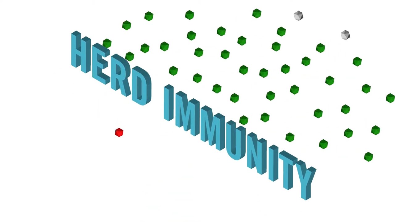 What is herd immunity?
