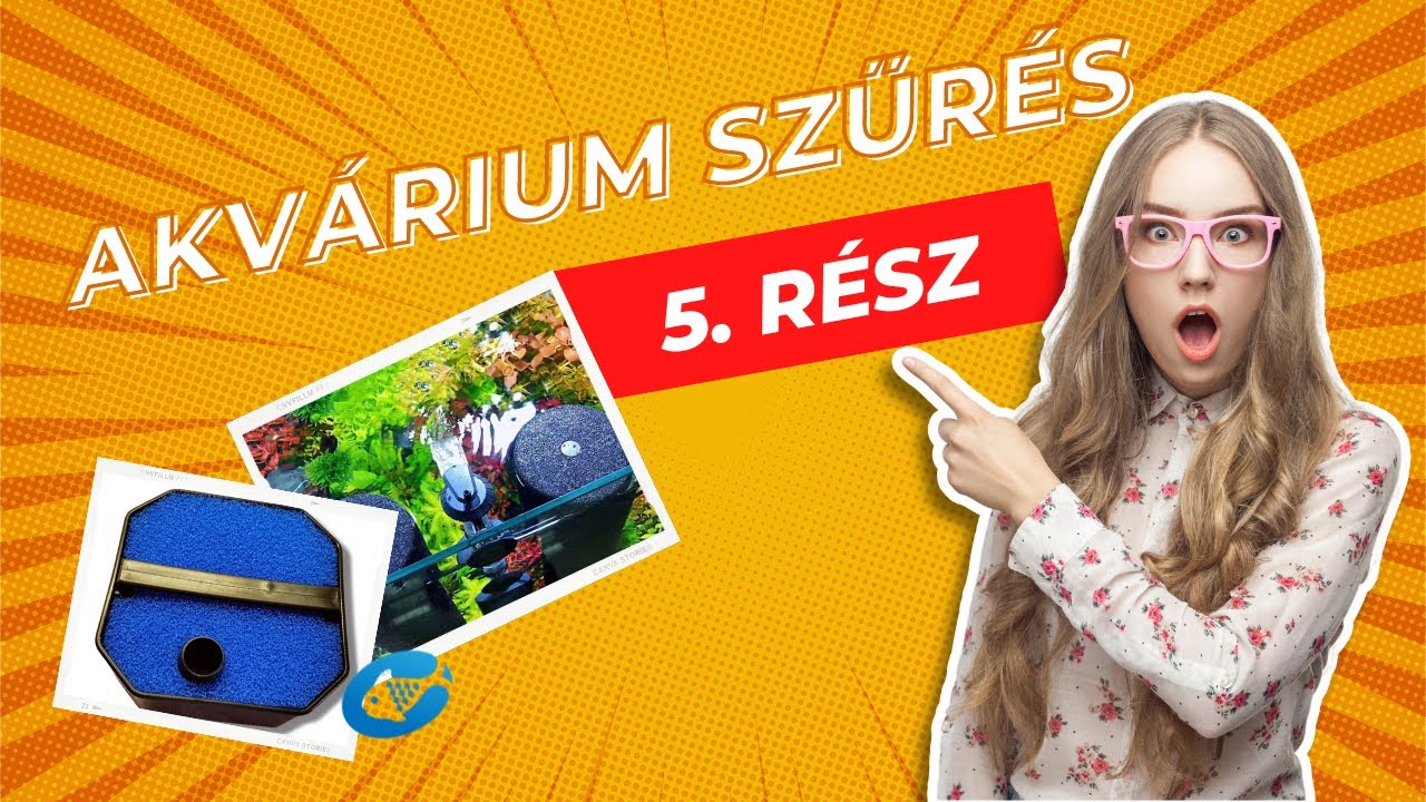 5.  Az akvárium megfelelő szűrése kezdőknek  (Akvarisztika kezdőknek)