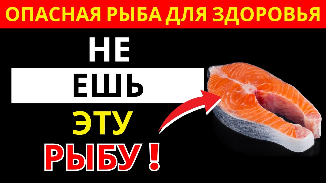 4 опасные рыбы после 60 — и 4 полезные, которые укрепят сердце | здоровье пожилых