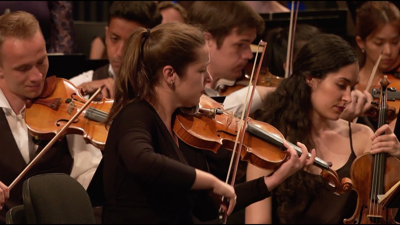 R. Strauss : Die Frau ohne Schatten / Gergiev (solo violin act III)