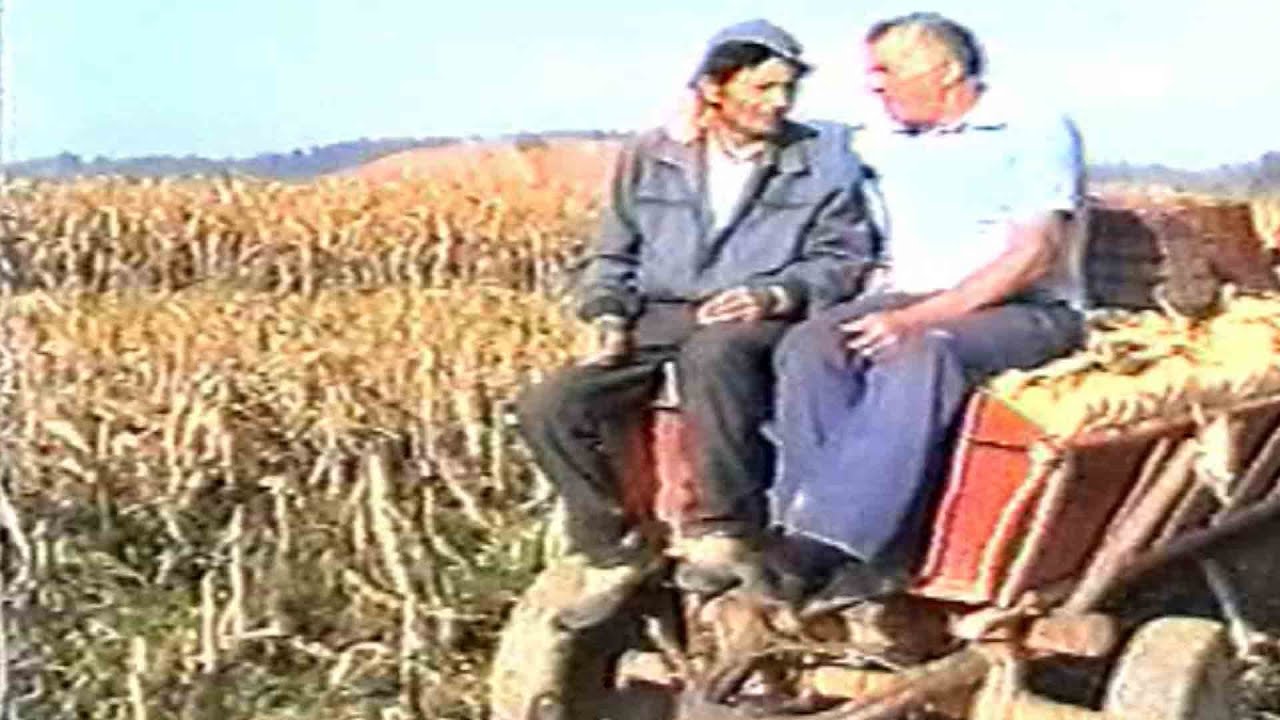 Komidva u Donjim Brezovicama-Obicaji Radjevine-Dobrivoje i Dobrila Pantelic