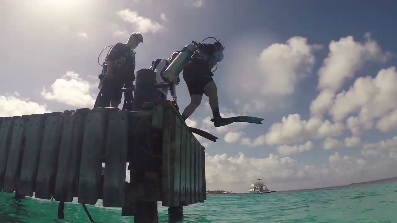 Bonaire Beneath the Waves