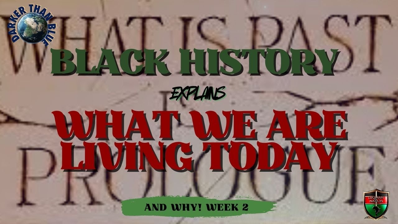 DTB - Black History Explains What We Are Living Now, And Why - Week 2 📱