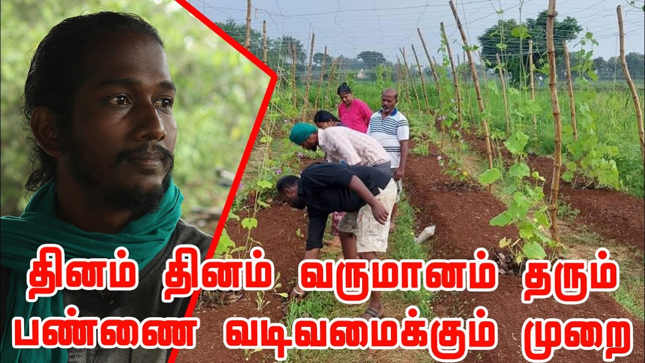 அரை ஏக்கர் நிலத்தை 11 பகுதிகளாக பிரித்து பயிர் சுழற்சி முறையில் விவசாயம் | Auroville Auro Orchard