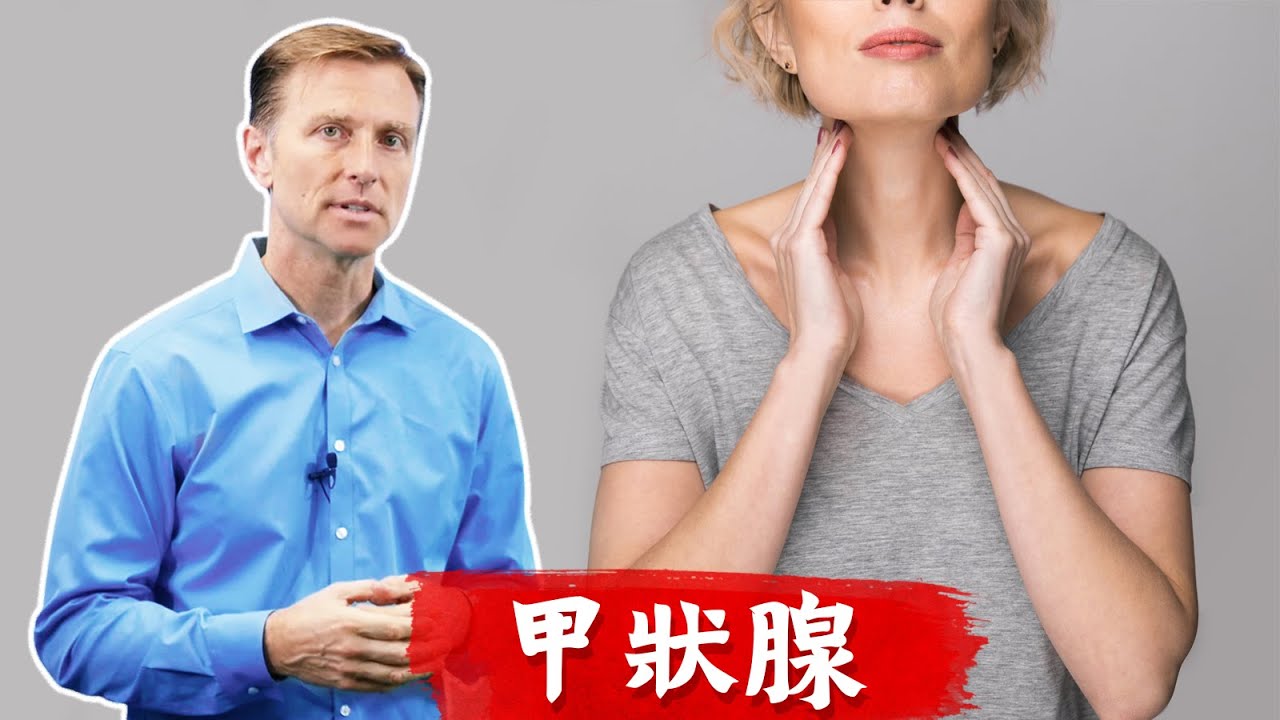 重要的甲狀腺低下,甲狀腺亢進的自然療法,柏格醫生 Dr Berg