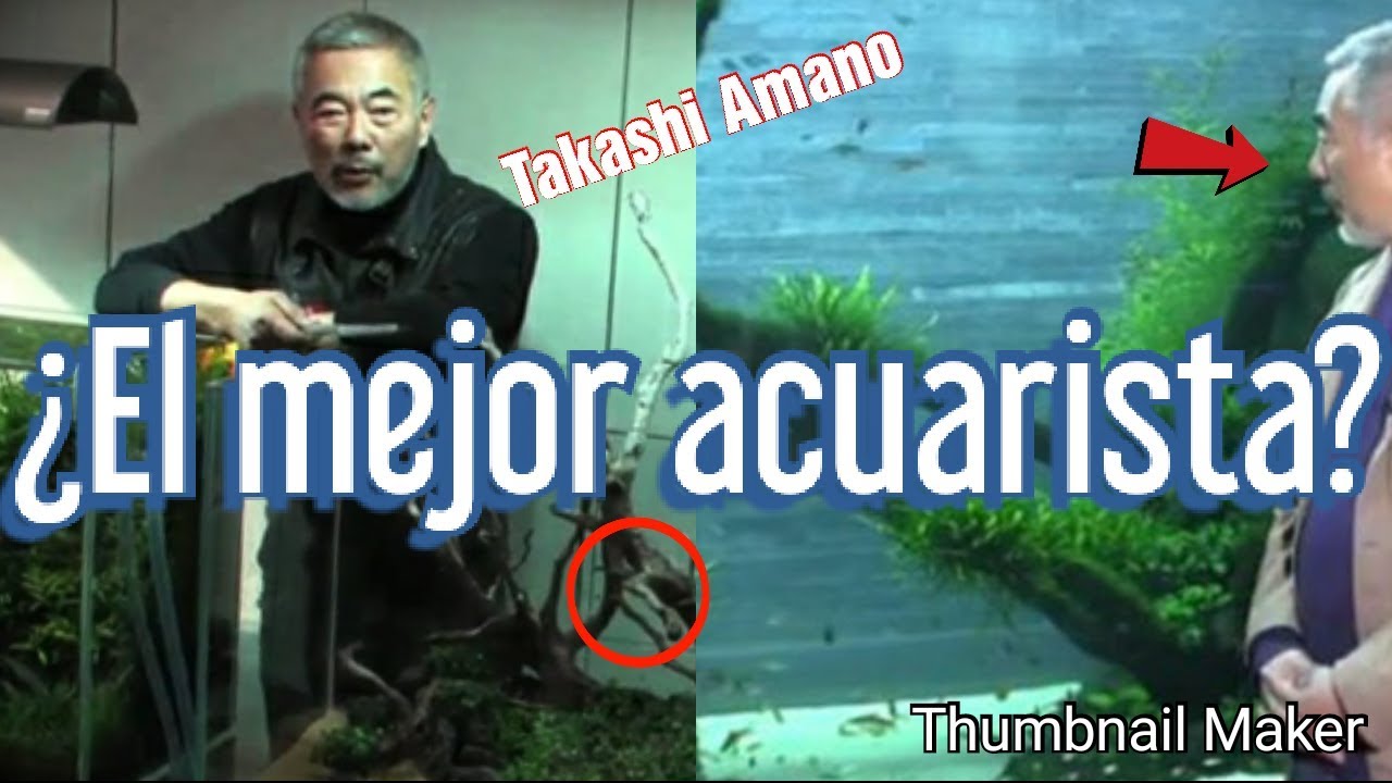Una leyenda del acuarismo Takashi Amano