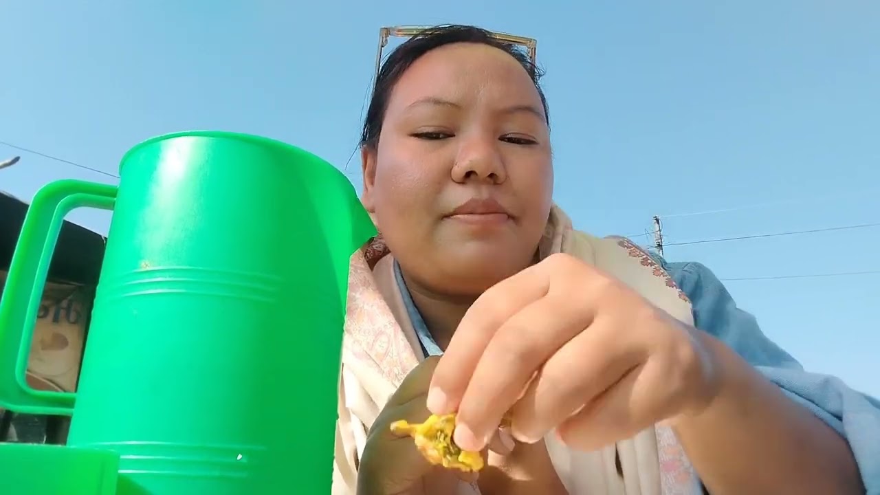 मेरो भिडियो हेरेर प्रतिक्रिया दिनु होला। like commentसेयर subscribe गर्दिनुहोला।  My New vlog 