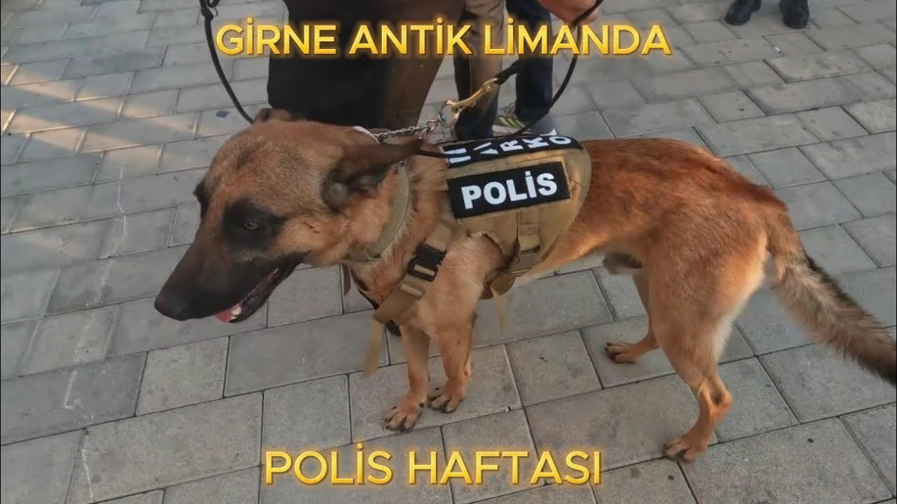 Kıbrıs'ta Polis Haftası ve Girne antik liman keyfi... #girne #liman #harbour #harboursquare #polis