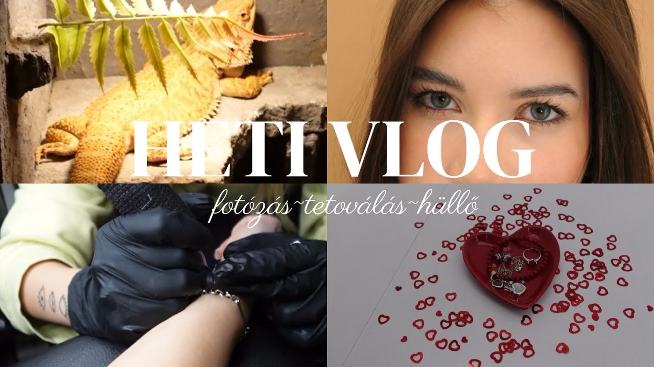 Heti vlog: fotózás, tetoválás, hüllők