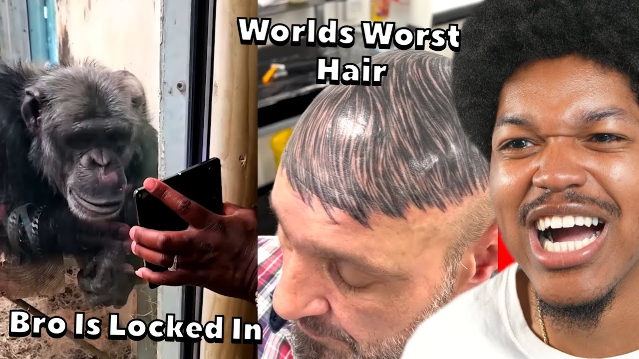 These Tiktoks Are Too Random