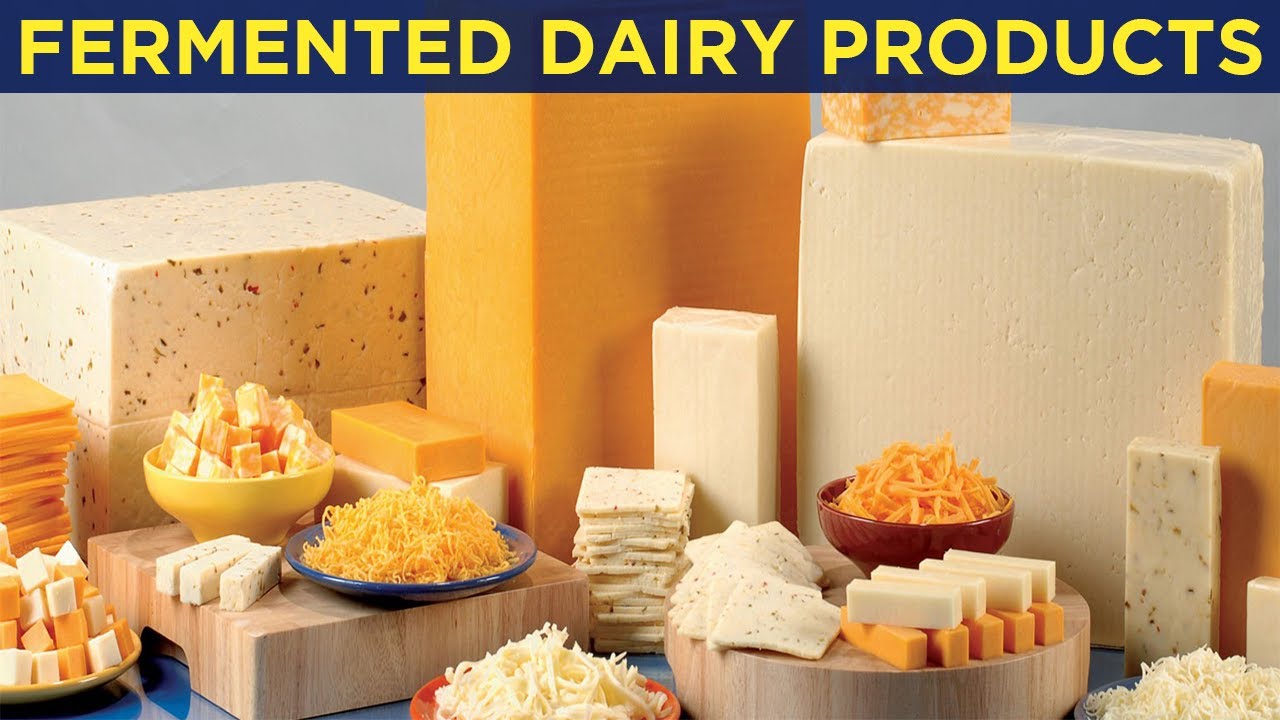 Fermented Dairy Products