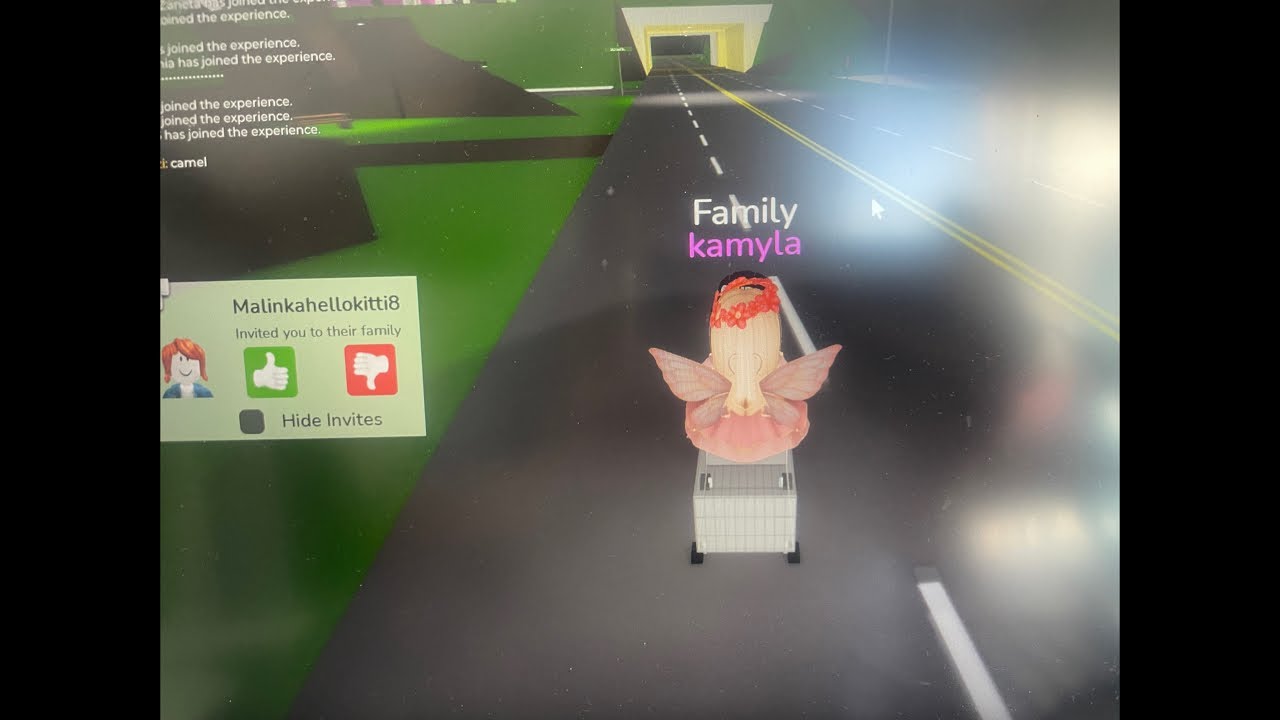 Gramy w robloxxxx