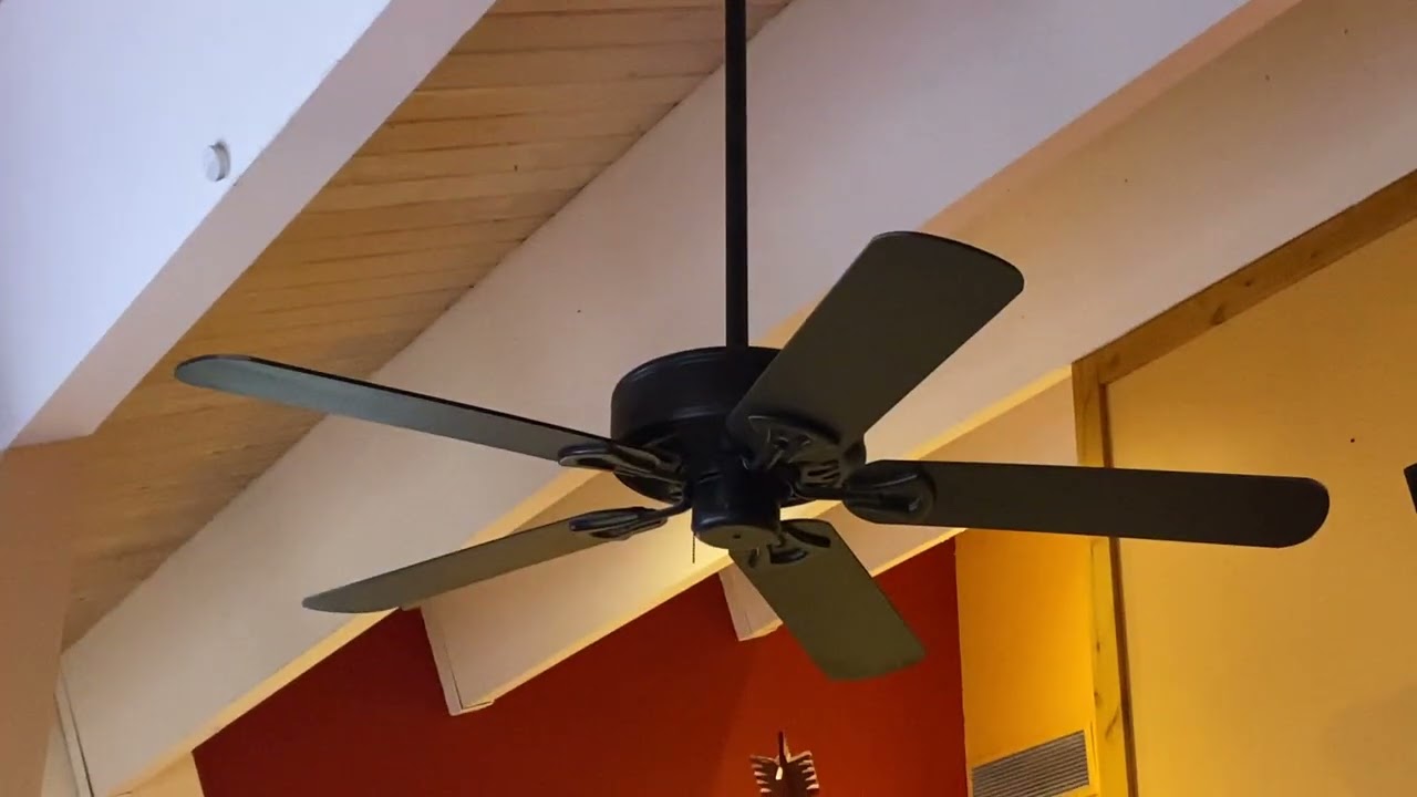 x2 Harbor Breeze Classic and x2 Litex Sheffield Ceiling Fans at Pepper's Pete and Peters