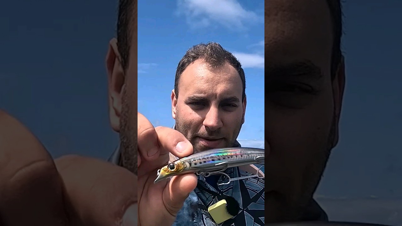 El se&ntilde;uelo de pesca a spinning imitaci&oacute;n de color PERFECTA a una Sardina #pesca #pescaspinning