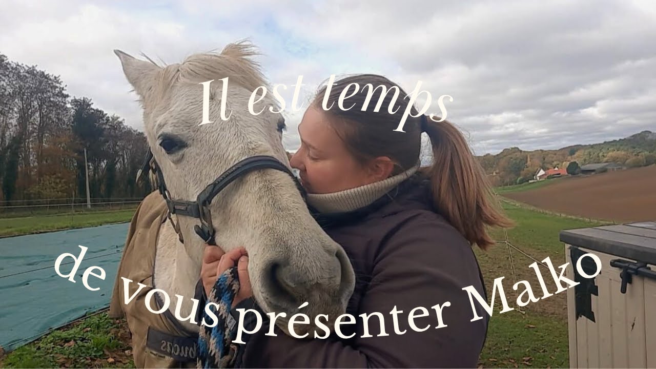 Présentation de Malko 🐴 Origines, caractère & photos (je suis pas méga satisfaite de la vidéo)