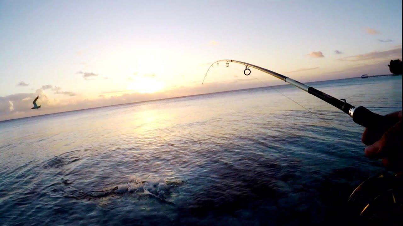 FAV Part 1: FAKARAVA fishing... Paradise beach and friendly Sharki 🦈