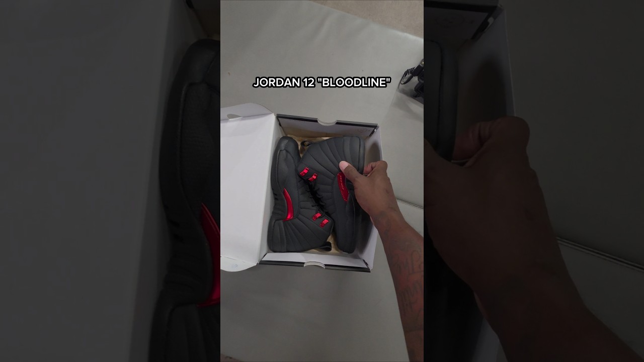 JORDAN 12  &ldquo;BLOODLINE&rdquo; 🔴⚫️ EARLY LOOK 👀  #jordan #shoes #nike #shorts #sneakers #viral