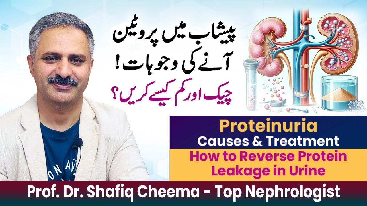 Proteinuria Causes & Treatment | How to REVERSE proteinuria