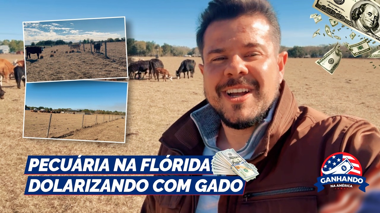 Pecuária na Flórida 🇺🇸 | Fazenda com 53 Acres e 50 Vacas Hereford à Venda 💰🐂