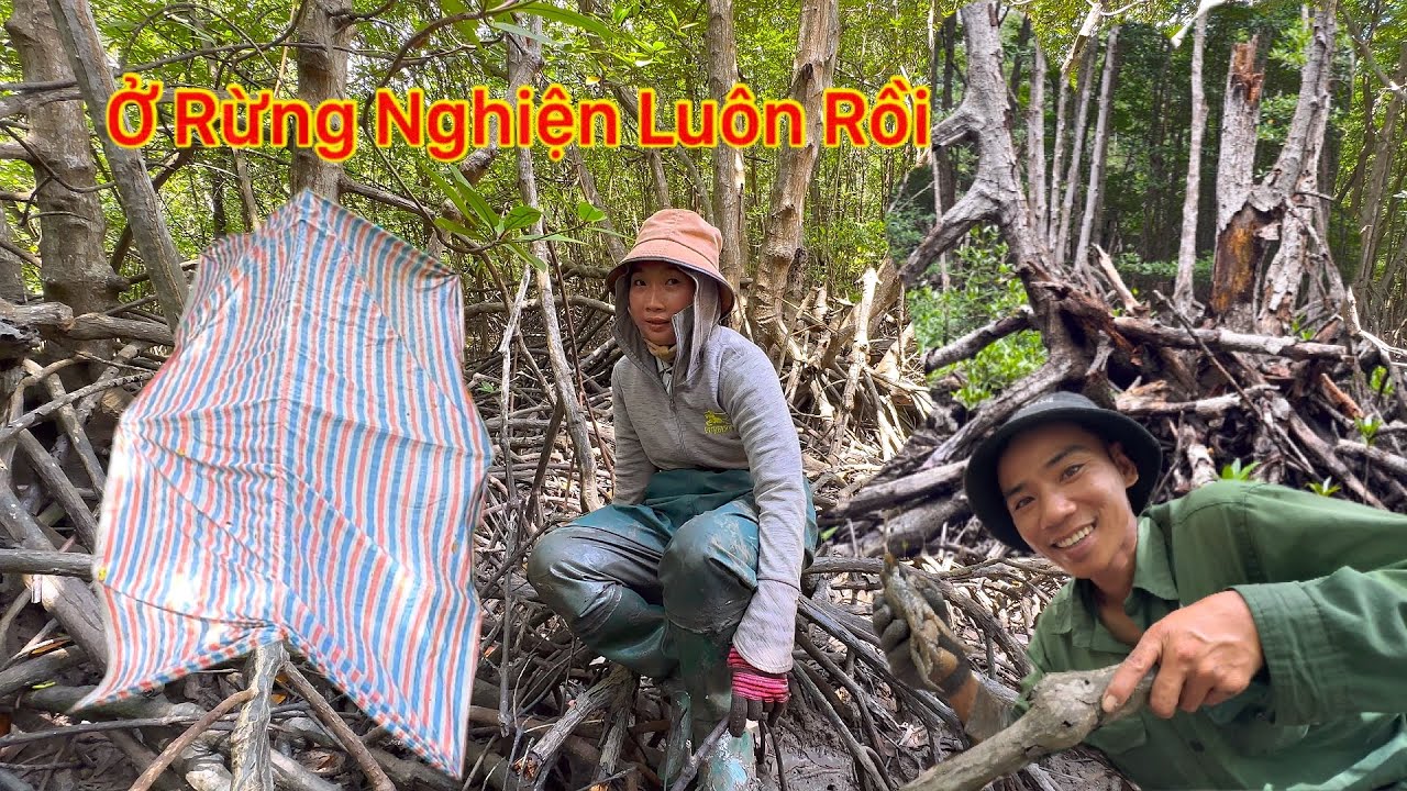 Cuộc Sống Trong Rừng Tìm Kiếm Bữa Ăn Nơi Nhiều Nguy Hiểm